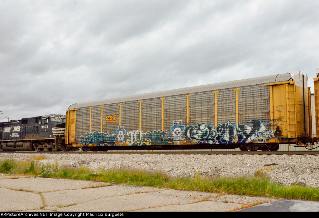 TTGX CSX Autorack